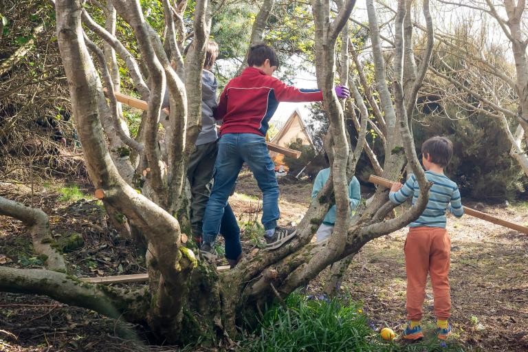 Photo of children playing in the woodland